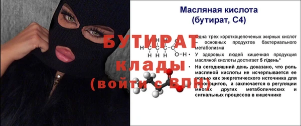 индика Мегион