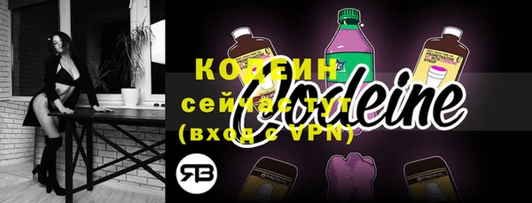 индика Мегион