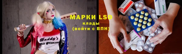 гидропоника Медногорск