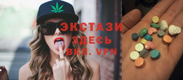 индика Мегион