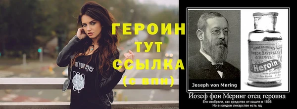 индика Мегион