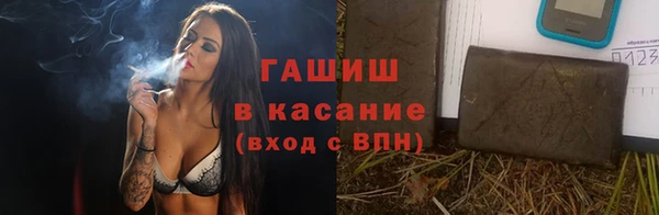 индика Мегион