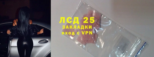 индика Мегион