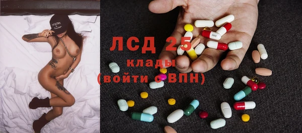 индика Мегион