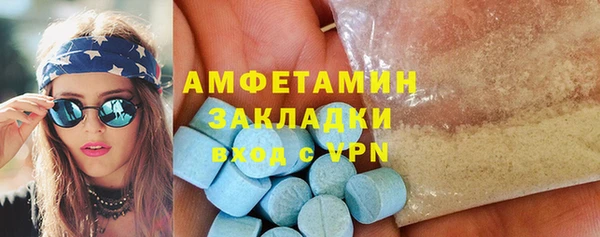 индика Мегион