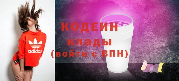 индика Мегион