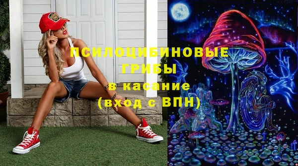 гидропоника Медногорск