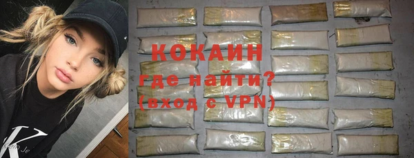 индика Мегион