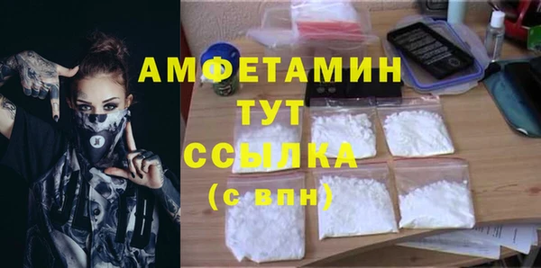 индика Мегион