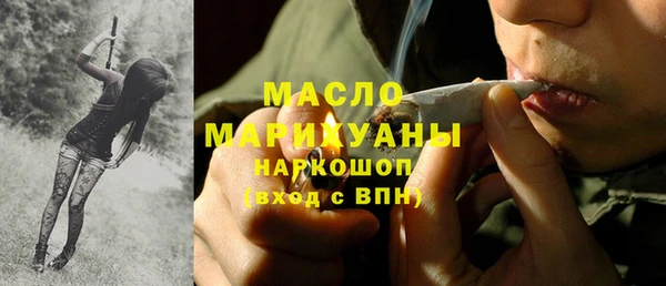 индика Мегион